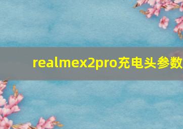 realmex2pro充电头参数