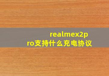 realmex2pro支持什么充电协议