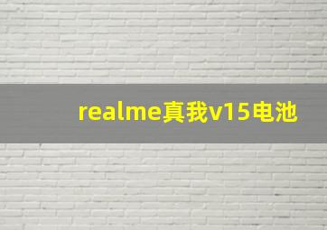 realme真我v15电池