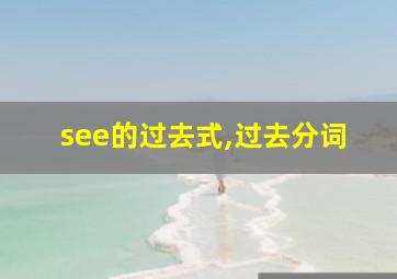 see的过去式,过去分词