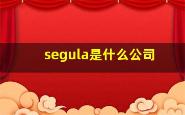 segula是什么公司