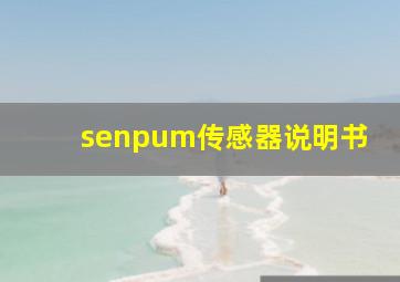 senpum传感器说明书