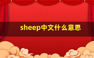 sheep中文什么意思