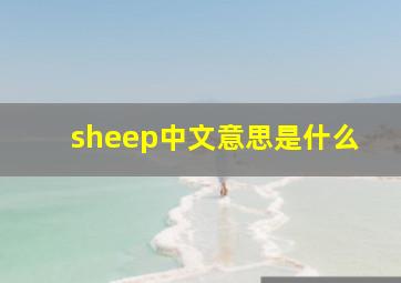 sheep中文意思是什么