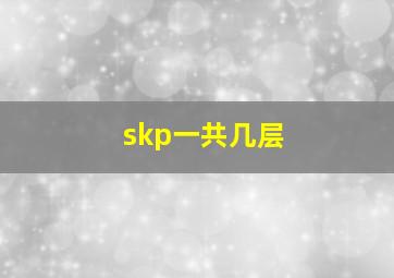 skp一共几层