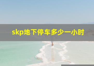 skp地下停车多少一小时