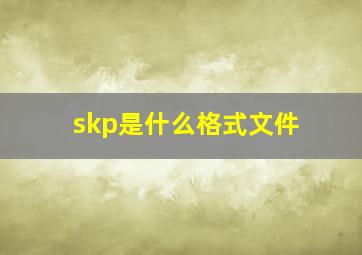 skp是什么格式文件