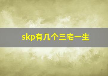 skp有几个三宅一生