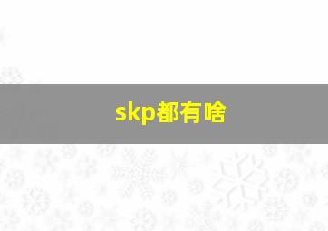 skp都有啥