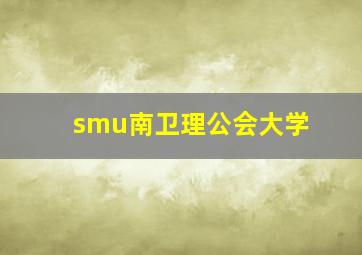 smu南卫理公会大学