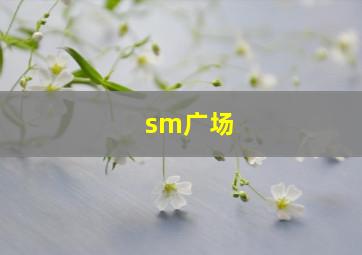 sm广场