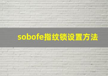 sobofe指纹锁设置方法