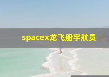 spacex龙飞船宇航员