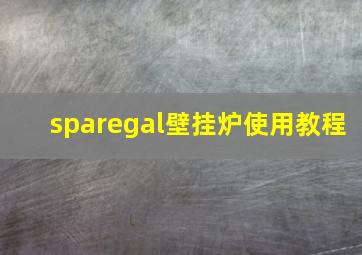 sparegal壁挂炉使用教程