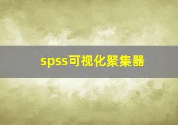 spss可视化聚集器