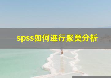 spss如何进行聚类分析