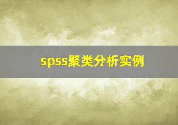 spss聚类分析实例