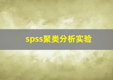 spss聚类分析实验