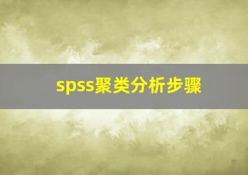 spss聚类分析步骤