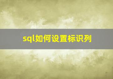 sql如何设置标识列