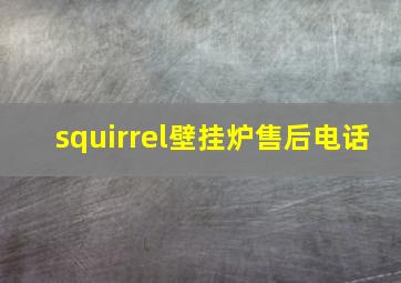 squirrel壁挂炉售后电话