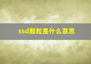 ssd颗粒是什么意思