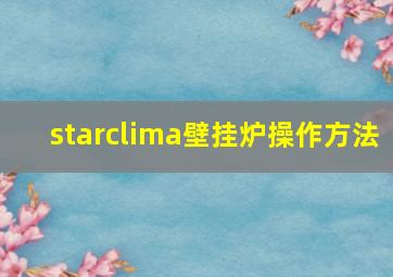 starclima壁挂炉操作方法