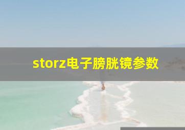 storz电子膀胱镜参数