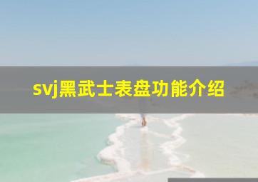 svj黑武士表盘功能介绍