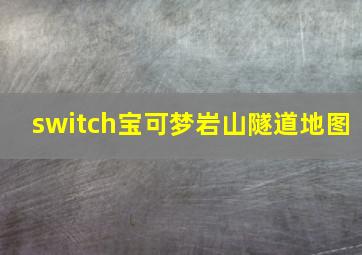 switch宝可梦岩山隧道地图