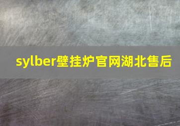 sylber壁挂炉官网湖北售后