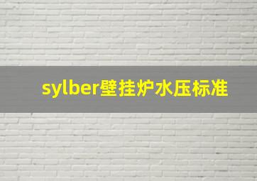 sylber壁挂炉水压标准