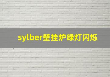 sylber壁挂炉绿灯闪烁