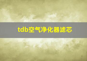 tdb空气净化器滤芯