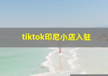 tiktok印尼小店入驻