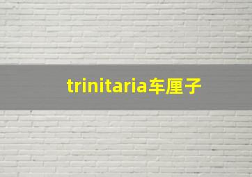 trinitaria车厘子