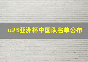 u23亚洲杯中国队名单公布