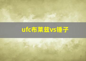 ufc布莱兹vs锤子