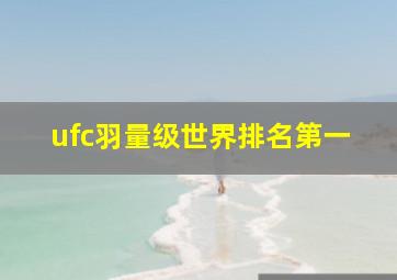 ufc羽量级世界排名第一