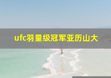 ufc羽量级冠军亚历山大