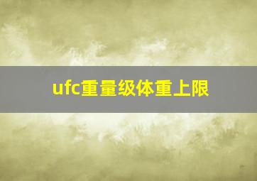 ufc重量级体重上限