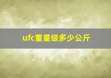 ufc重量级多少公斤