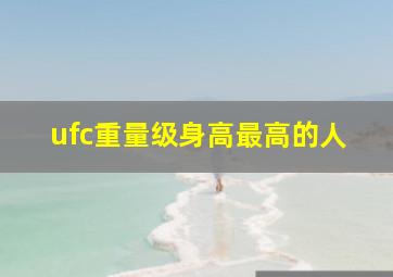 ufc重量级身高最高的人