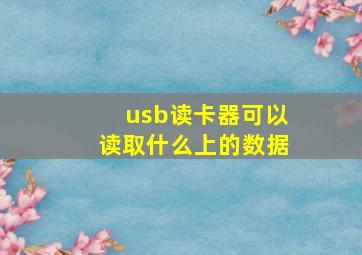 usb读卡器可以读取什么上的数据