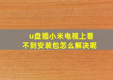 u盘插小米电视上看不到安装包怎么解决呢