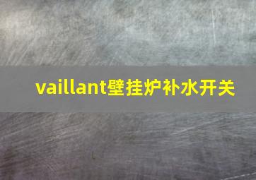 vaillant壁挂炉补水开关