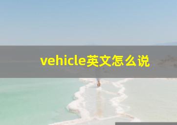 vehicle英文怎么说