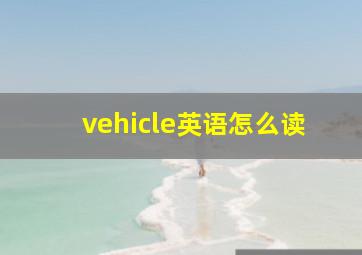 vehicle英语怎么读