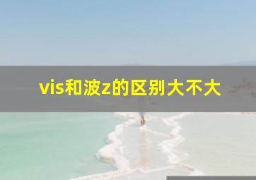 vis和波z的区别大不大