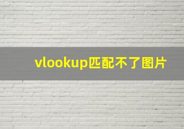 vlookup匹配不了图片